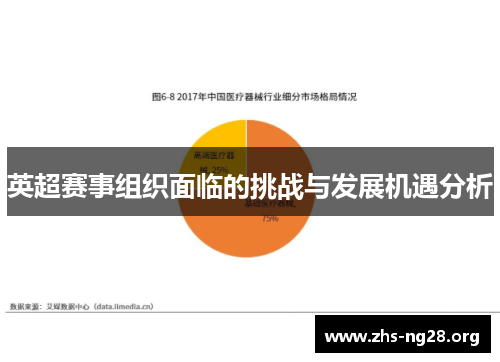 英超赛事组织面临的挑战与发展机遇分析 英超赛事组织面临的挑战与发展机遇分析