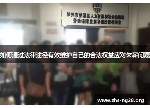 如何通过法律途径有效维护自己的合法权益应对欠薪问题 如何通过法律途径有效维护自己的合法权益应对欠薪问题