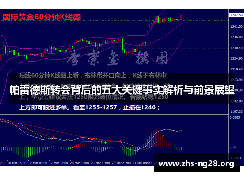 帕雷德斯转会背后的五大关键事实解析与前景展望 帕雷德斯转会背后的五大关键事实解析与前景展望