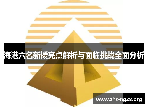 海港六名新援亮点解析与面临挑战全面分析 海港六名新援亮点解析与面临挑战全面分析
