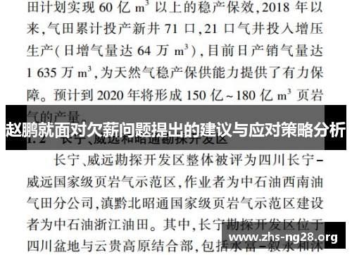 赵鹏就面对欠薪问题提出的建议与应对策略分析 赵鹏就面对欠薪问题提出的建议与应对策略分析