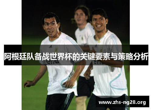阿根廷队备战世界杯的关键要素与策略分析 阿根廷队备战世界杯的关键要素与策略分析