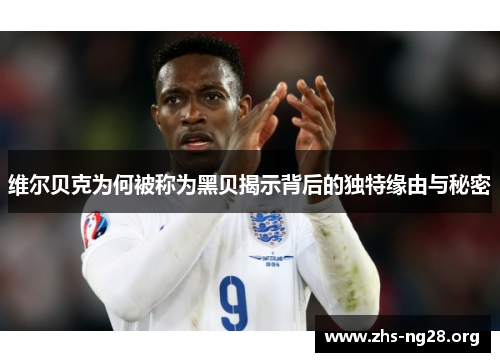 维尔贝克为何被称为黑贝揭示背后的独特缘由与秘密